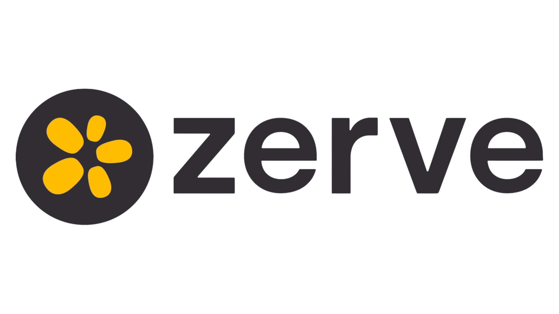 Zerve, an end-to-end data science and AI development platform 